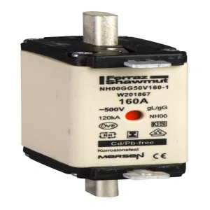 Предохранитель OE GF 100A (ШНАЙДЕР) Предохранитель OE GF 100A (ШНАЙДЕР)